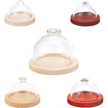 5 Pcs Mini Top Knob Glass Dome Cover Display Glass Dome with 5 Sizes Wooden Base Decorative Display Case for DIY Preserved Gift Home Decoration Centerpieces Plants Rocks Specimens Crafts