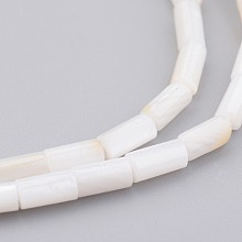 Honeyhandy Natural Shell Bead Strands, Dyed, Column, Floral White, 8x4mm, Hole: 0.5mm, about 50pcs/strand, 15.7 inch