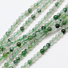 Honeyhandy Natural Moss Agate Bead Strands, Round, 2mm, Hole: 0.8mm, about 184pcs/strand, 16 inch