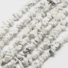 Honeyhandy Natural Howlite Beads Strand, Chip, White, 3~4x3~8x4~5mm, Hole: 0.4mm, 33.5 inch