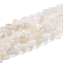 Honeyhandy Natural Moonstone Beads Strands, Nuggets, Tumbled Stone, 8~11x7.5~9x4.5~7mm, Hole: 0.8mm, about 42pcs/strand, 15.94''(40.5cm)