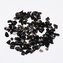 Honeyhandy Natural Black Stone Chip Beads, No Hole/Undrilled, 2~8x3~5mm