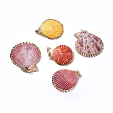 Honeyhandy Shell Pendants, with Iron Findinggs, Shell, Light Gold, 45~59x41~52x6~8mm, Hole: 1.6~1.8mm