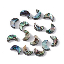 Honeyhandy Natural Abalone Shell/Paua Shell Beads, Moon, Colorful, 10x7x3mm, Hole: 0.9mm