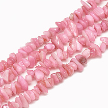 ARRICRAFT Freshwater Shell Beads Strands, Dyed, Chip, Pearl Pink, 4~14x4~8x1~8mm, Hole: 1mm, about 210~250pcs/strand, 31.4 inches