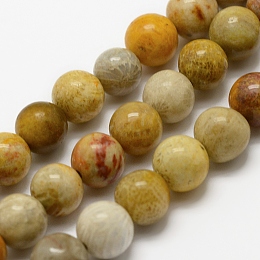 Honeyhandy Natural Fossil Coral Beads Strands, Round, 4mm, Hole: 1mm, about 95pcs/strand, 15.3 inch(39cm)