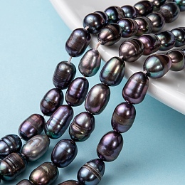 ARRICRAFT Natural Cultured Freshwater Pearl Rice Beads Pearl Beads Strands, Rice, Prussian Blue, 8~11x7~8mm, Hole: 0.6~0.7mm, about 42pcs/strand, 14.1 inches