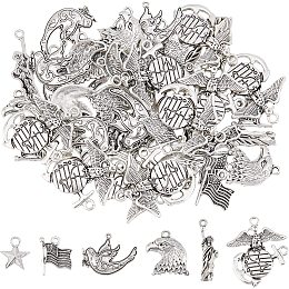SUNNYCLUE 1 Box 60Pcs 6 Style 4th July Themed Patriotic Charm Independence Day American Flag Charms Bulk Eagle Hawk Statue of Liberty Pendants Peace Dove Charm for Jewelry Making Women Antique Silver