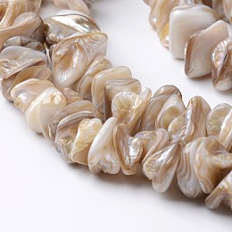 Honeyhandy Natural Freshwater Shell Bead Strands, Tan, 10~25x10~25x3~10mm, Hole: 1mm, about 22pcs/strand, 15.4 inch