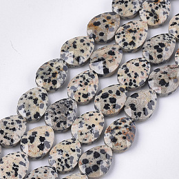 Natural Dalmatian Jasper Beads Strands, Faceted, teardrop, 18x13~13.5x5.5~6mm, Hole: 1.2mm, about 11pcs/strand, 7.8 inch