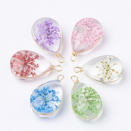 Honeyhandy Glass Pendants, with Dried Flower Inside & Brass Findings, teardrop, Golden, Mixed Color, 22~24x13x8mm, Hole: 2mm