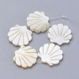 Honeyhandy Natural Freshwater Shell Beads, Scallop Shape, Creamy White, 27~29x28~30x2.5~3mm, Hole: 1mm