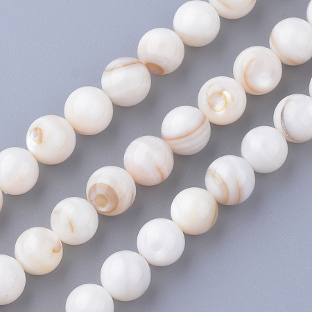 ARRICRAFT Natural Freshwater Shell Bead Strands, Round, Floral White, 7~7.5mm, Hole: 1mm, about 56pcs/strand, 15.7 inches