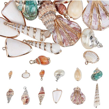 NBEADS 24 Pcs Natural Shell Pendants, Mixed Sizes Shell Pendants Charms with Brass Findings for DIY Necklace Bracelet Earring Making, Hole: 1-2mm