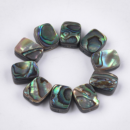 Honeyhandy Abalone Shell/Paua Shell Beads, Rectangle, Colorful, 10x8x3.5~4mm, Hole: 1mm