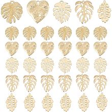 PandaHall Elite 35Pcs Monstera Leaf Charms, 5 Style Tropical Leaf Charms Metal Embellishments Stainless Steel Hollow Leaf Pendants for Jewelry Making DIY Necklace Earring Decoration, Golden