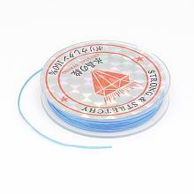 Honeyhandy Flat Elastic Crystal String, String Cord Crystal Threads, Sky Blue, 0.6mm, about 10.93 yards(10m)/roll