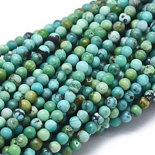 Honeyhandy Natural HuBei Turquoise Beads Strands, Round, 2mm, Hole: 0.5mm, about 195pcs/strand, 15.35 inch(39cm)