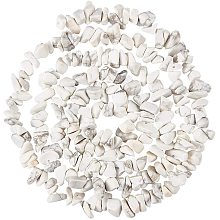 NBEADS 320pcs/Strand Natural Howlite Gem Chips Beads Strands, Length 4-10mm Crushed White Gemstone Stone Loose Beads for Jewelry Making Craft Design, 35.4" Length