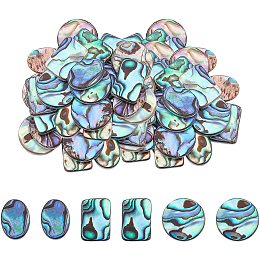 Natural Abalone Shell/Paua Shell Cabochons, with Freshwater Shell, Mixed Shapes, Colorful, 3 shapes, 6pcs/shape, 18pcs/box