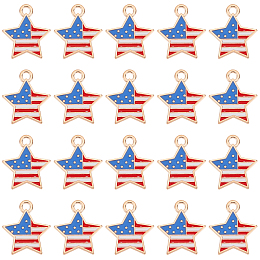 SUNNYCLUE 1 Box American Flag Charms Patriotic Charms Independence Day USA Stars and Stripes Charm 4th of July Enamel Star Charms for Jewelry Making Charm Earring Bracelet Necklace Keychain DIY Craft