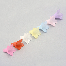 Honeyhandy Transparent Acrylic Beads, Frosted, Flower, Mixed Color, 22.5x22x22mm, Hole: 2mm, about 531pcs/500g