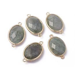 Honeyhandy Golden Tone Brass Natural Labradorite Links connectors, Faceted, Oval, 26x15x6mm, Hole: 1~2mm