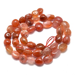 Honeyhandy Natural South Red Agate Beads Strands, Tumbled Stone, Nuggets, 8~13x7~8x5~6mm, Hole: 0.6mm, about 43pcs/Strand, 15.75 inch(40cm)