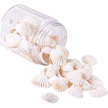 PH PandaHall 160 pcs White Natural Conch Shell Beads Undrilled/No Hole Tiny Scallop Sea Shells Ocean Beach Seashells Craft Charms for Candle Making Home Decoration Party Wedding Decor