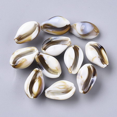Honeyhandy Acrylic Beads, Imitation Gemstone Style, Cowrie Shell, Floral White, 19.5x12x10mm, Hole: 1.8mm