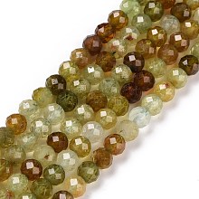 Honeyhandy Natural Green Garnet Beads Strands, Faceted, Round, 4mm, Hole: 0.7mm, about 93~94pcs/strand, 15.35~15.55 inch(39~39.5cm)