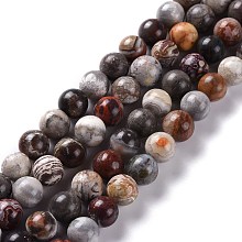 ARRICRAFT Natural Crazy Agate Round Beads Strands, 12mm, Hole: 1.4mm, about 33pcs/strand