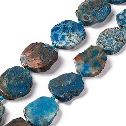 Honeyhandy Natural Fossil Coral Beads Strands, Dyed, Nuggets, 26.5~38.5x23~28x5.5~6mm, Hole: 2.5mm, about 13~14pcs/strand, 15.75~17.32 inch(40~44cm)