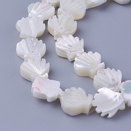 Honeyhandy Shell Beads Strands, Scallop Shell Shape, 9.5~10x9.2~9.5x2.3~4mm, Hole: 0.8mm, about 40pcs/strand, 15.19 inch(38.6cm)