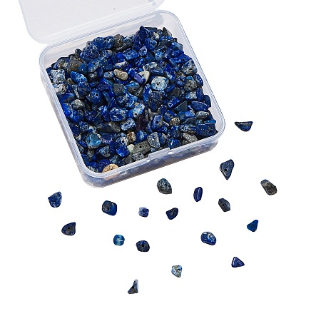 ARRICRAFT Natural Lapis Lazuli Chip Beads, 5x5mm, Hole: 1mm