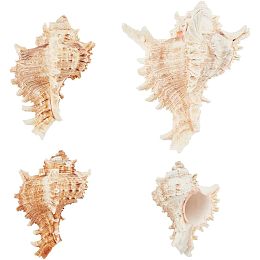 PandaHall Elite 4pcs Conch Sea Shells, 2.4-4.7inch Natural Beach Seashells Succulent Planters Decorative Holder for Vase Filler Fish Tank Aquarium Home Garden Table Decor Beach Theme Wedding Party