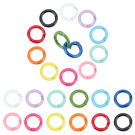 PandaHall Elite 24Pcs 12 Colors Spray Painted Eco-Friendly Alloy Spring Gate Rings, O Rings, Snap Clasps Ring, Cadmium Free & Nickel Free & Lead Free, Mixed Color, 25x4mm, 2pcs/color
