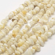 Honeyhandy Natural Shell Beads Strands, Chip, Light Yellow, 3~5x7~13x2~4mm, Hole: 0.4mm, about 31.5 inch(80cm)