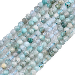 Arricraft Natural Russia Amazonite Beads Strands, Faceted, Round, 2~2.5mm, Hole: 0.3mm, about 177pcs/strand, 14.9 inches