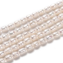 Honeyhandy Natural Cultured Freshwater Pearl Beads Strands, Rice, Bisque, 6~7x5~5.5mm, Hole: 0.8mm, about 43pcs/strand, 13.39~13.58 inch(34~34.5cm)