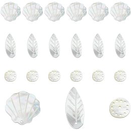 DICOSMETIC 18Pcs 3 Styles Natural Sea Shell Pendants Tree Leaves Charms Flat Round Shell Pendant Lotus Root pendants Beach Inspired Pendant Summer Ocean Charms for DIY Jewelry Making