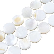 SUNNYCLUE 1 Box About 105Pcs Flat Round Shell Bead Natural Freshwater White Disc Coin Beads Ocean Beach Hawaii Style Elastic Thread for Jewelry Making DIY Bracelets Crafts Supplies Findings