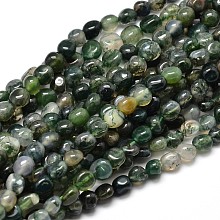 Honeyhandy Natural Moss Agate Nuggets Beads Strands, 5~10x6~7x3~7mm, hole: 1mm, about 14.9 inch~15.7 inch