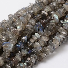 Honeyhandy Natural Labradorite Chip Bead Strands, 5~8x5~8mm, Hole: 1mm, about 16 inch