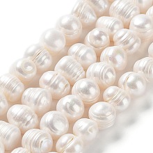 Natural Cultured Freshwater Pearl Beads Strands, Potato, Grade 3A, Antique White, 9.5~12.5x9~11mm, Hole: 0.5mm, about 34pcs/strand, 13.86''(35.2cm)