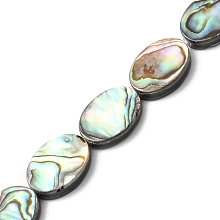 Natural Paua Shell Beads Strands, Oval, 19x10~10.5x3~3.5mm, Hole: 0.5mm, about 28pcs/strand, 16.02 inch(40.7cm)