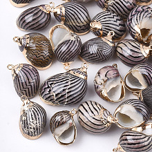 Honeyhandy Electroplate Spiral Shell Pendants, with Iron Findings, Golden, Black, 20~35x10~20x10~15mm, Hole: 1~2mm