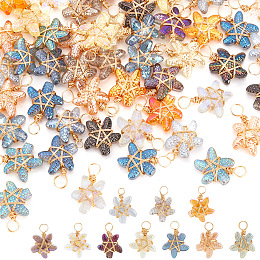 Copper Wire Wrapped Handmade Lampwork Pendants, Starfish Charm, Golden, Mixed Color, 20mm, Hole: 3.8mm, 60pcs/set