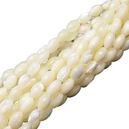 ARRICRAFT 10 Stands 600pcs Ivory Oval Sea Shell Beads Spiral Seashells Natural Gemstone Beads for Necklace, Bracelet, Jewelry Making, Home and Wedding Decor(15.5")