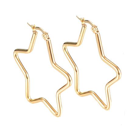 ARRICRAFT 20 Pairs Vacuum Plated 304 Stainless Steel Hook Earrings for Women Men Jewelry Making Star Golden 39x38x2mm